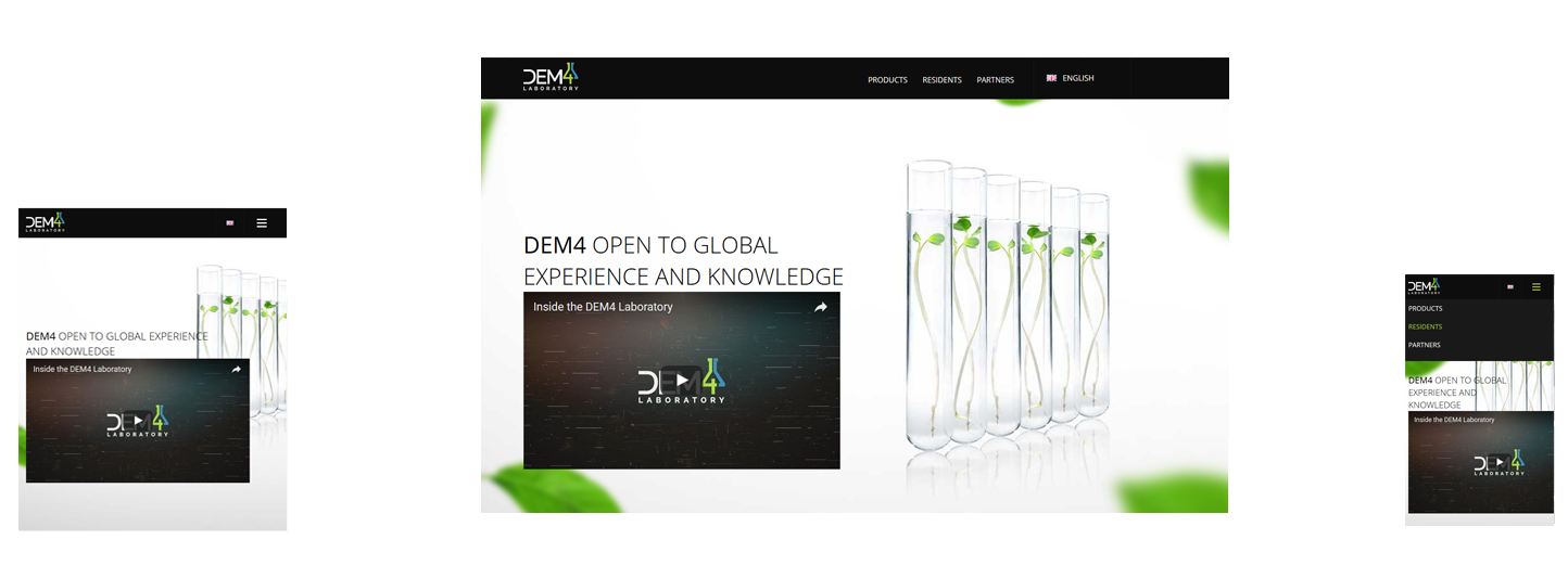 dem4 - Internetinė svetainė